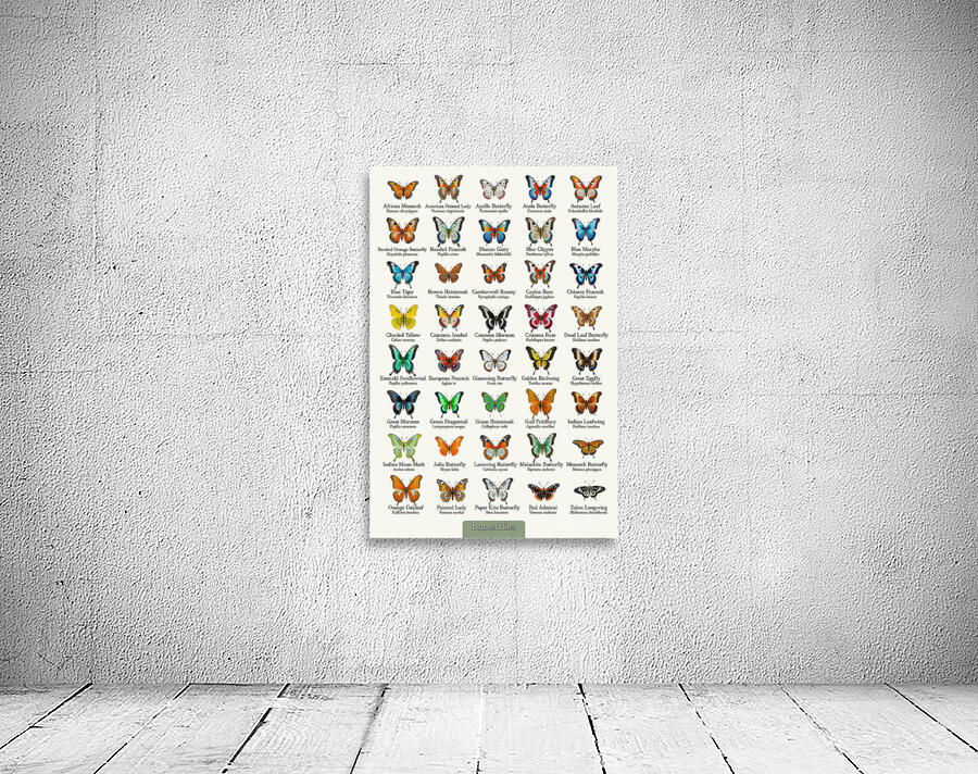 40 Beautiful Butterflies Wall Preview