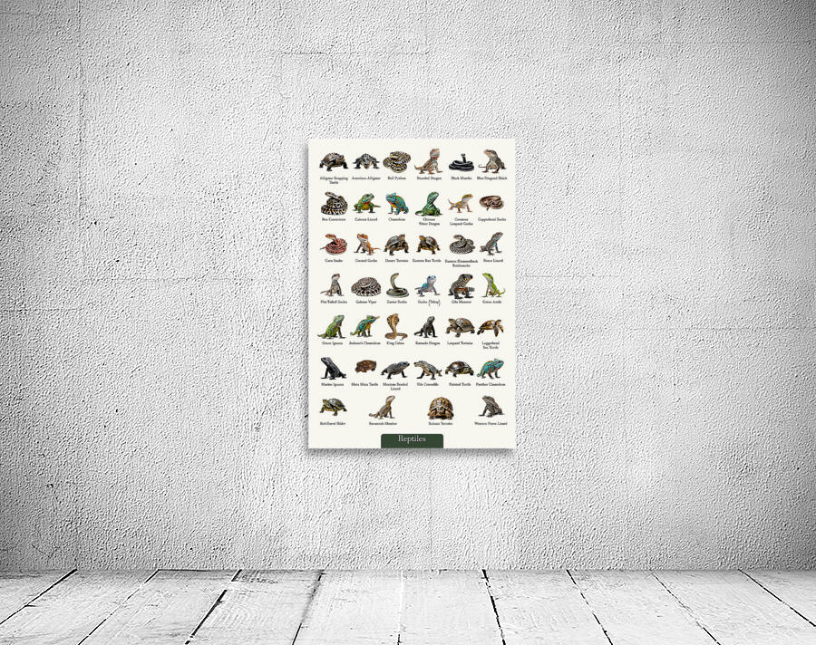 40 Reptiles Wall Preview