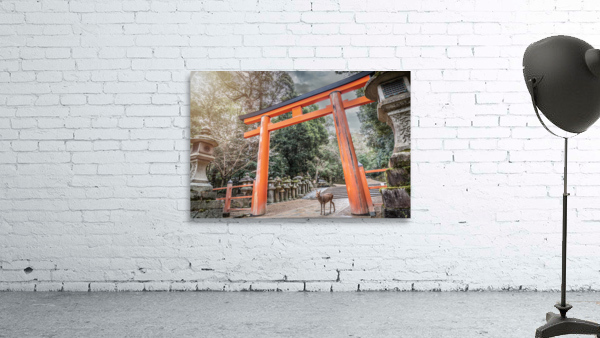A Deer passing the gate Wall Preview