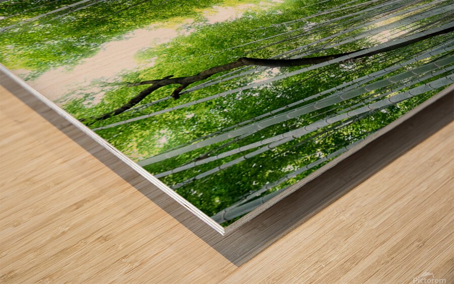 Bamboo Forest Wood print