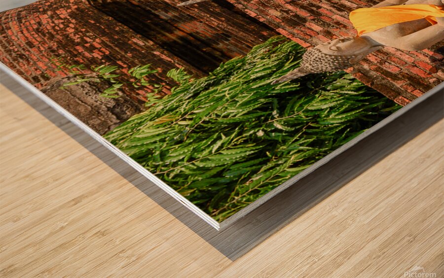 Cleaning Time Wood print