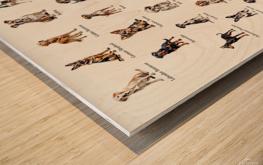50 Dog Breeds Wood print