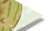 melon 1 HD Metal print