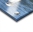 Little Birdie at Fishermans Wharf - San Francisco - 5 Impression Acrylique