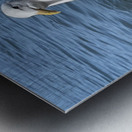 Little Birdie at Fishermans Wharf - San Francisco - 5 Impression metal