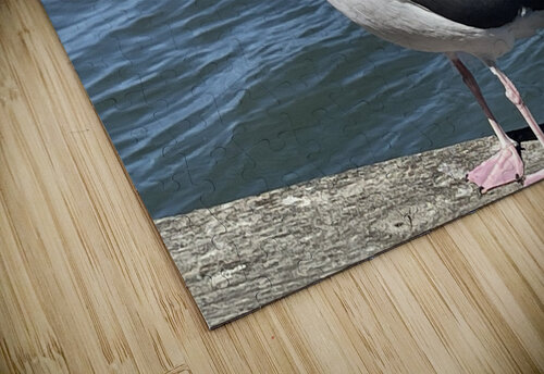 Little Birdie at Fishermans Wharf - San Francisco - 5 mouserack puzzle