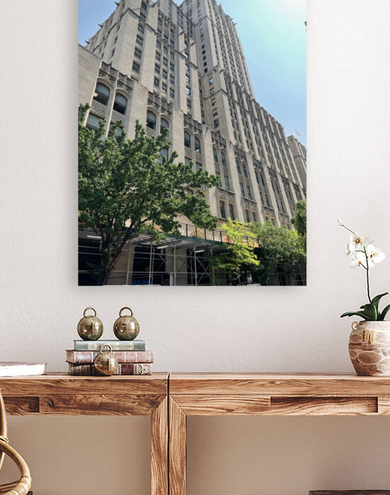 Madison Park -  New York 3 by mouserack