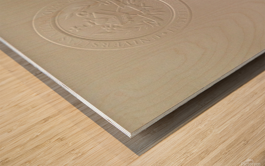 Villanova Commencement 2016 Wood print