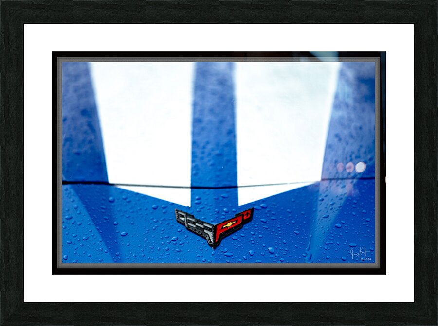  Fine Art print