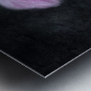 Soft Pink Dahlia on Black Metal print