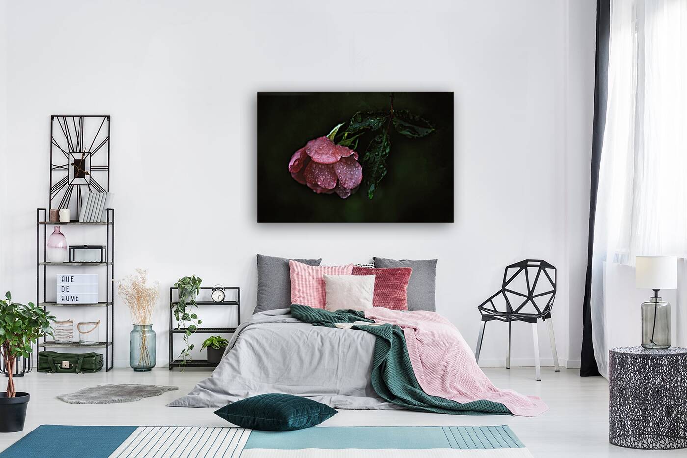 Pink Rose with Raindrops Reproduction