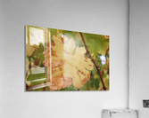 Grape Leaf 02 Acrylic Print