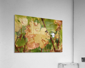 Grape Leaf 01 Acrylic Print