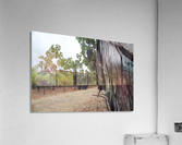 Vineyard Fence Post Acrylic Print