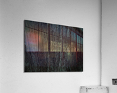 Bark With Lichen 03 Acrylic Print