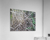 Rusted Chain Link 02 Acrylic Print