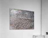 Rusted Chain Link 01 Acrylic Print