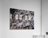 IMG_1022 Acrylic Print