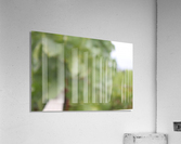 IMG_1690 Acrylic Print