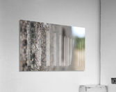 IMG_1732 Acrylic Print