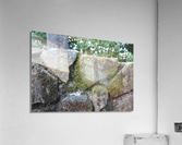 IMG_1963 Acrylic Print