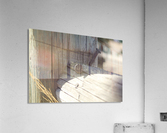 IMG_2133 Acrylic Print