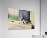 IMG_2137 Acrylic Print