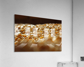 IMG_2073 Acrylic Print
