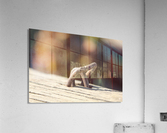 IMG_2141 Acrylic Print