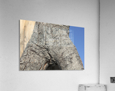 IMG_2130 Acrylic Print