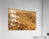 Dried Corn 04 Acrylic Print