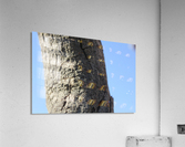 IMG_2132 Acrylic Print