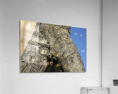 IMG_2131 Acrylic Print