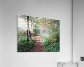 IMG_0853 Acrylic Print