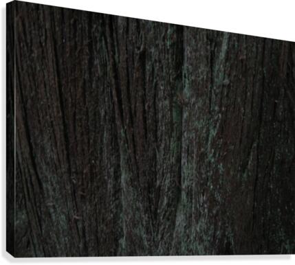 Bark With Lichen 03 Canvas Print