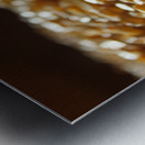 IMG_2073 Metal print