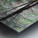 IMG_0853 Metal print