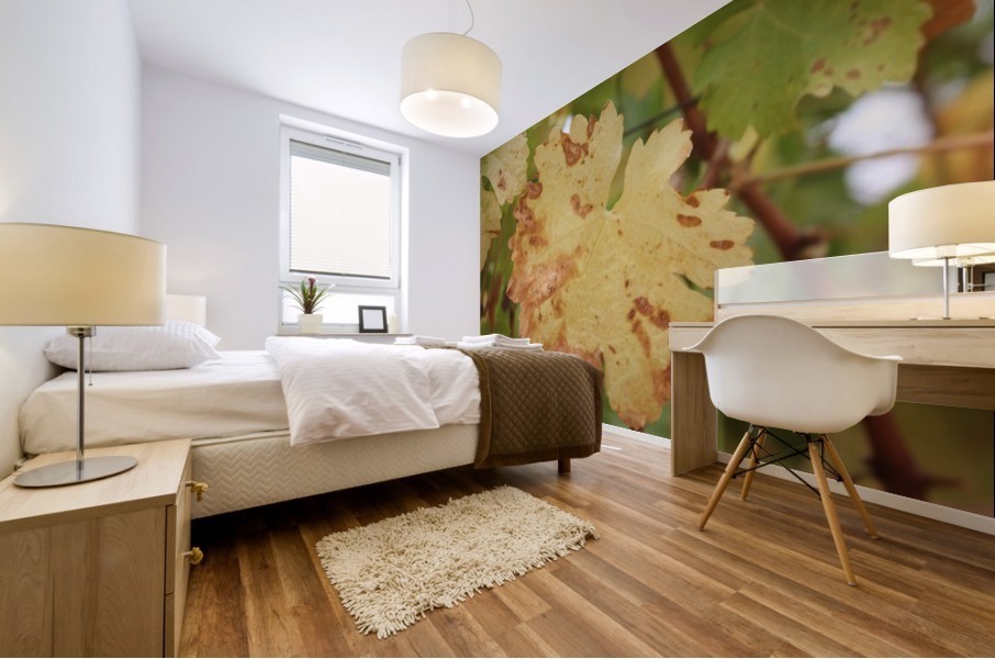 Grape Leaf 02 Mural print