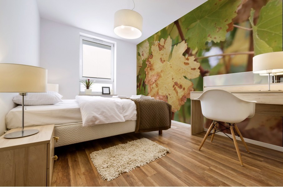 Grape Leaf 01 Mural print