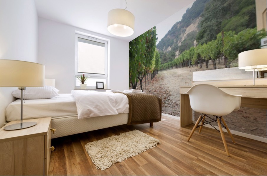 Vineyard Road Mural print