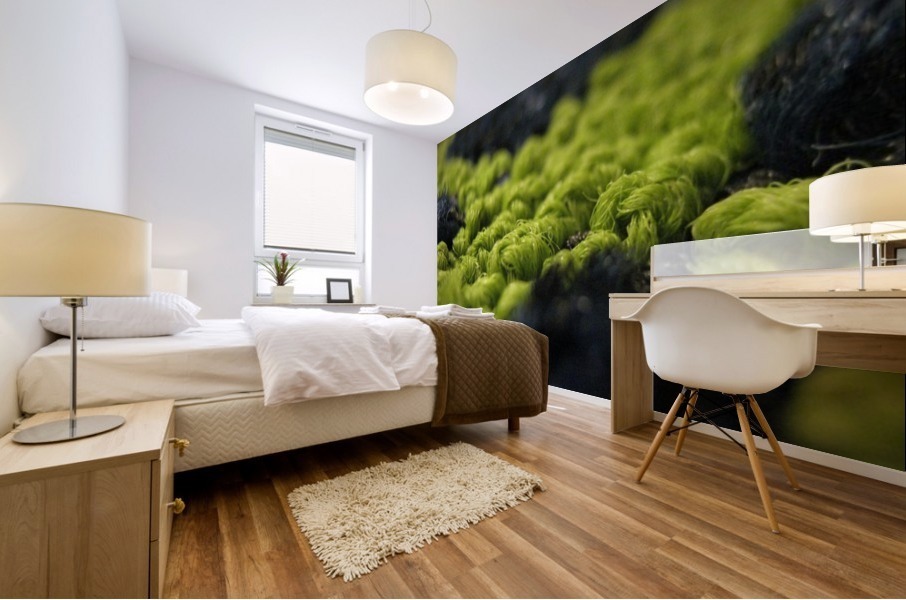 Carpet 01 Mural print