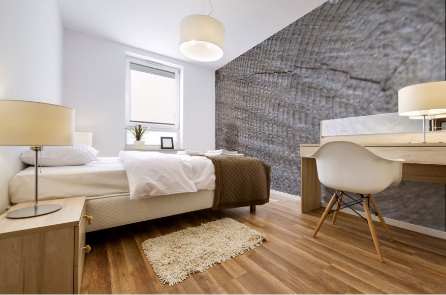 Tree Rings 01 Mural print