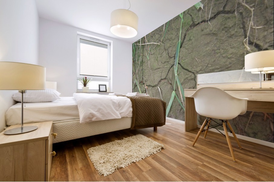 Cracked Mud Mural print