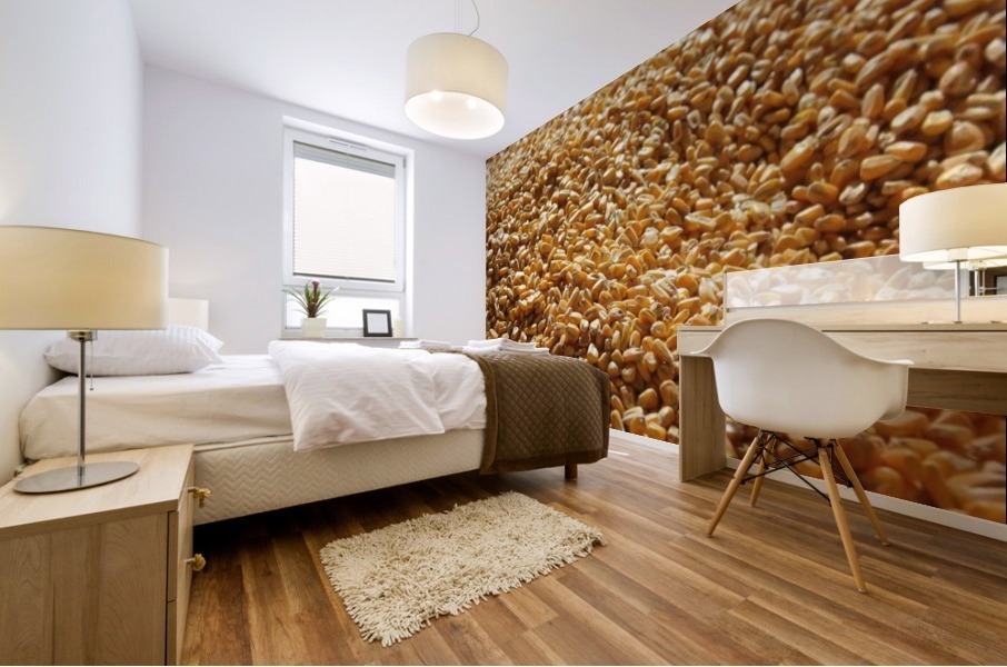 Dried Corn 04 Mural print