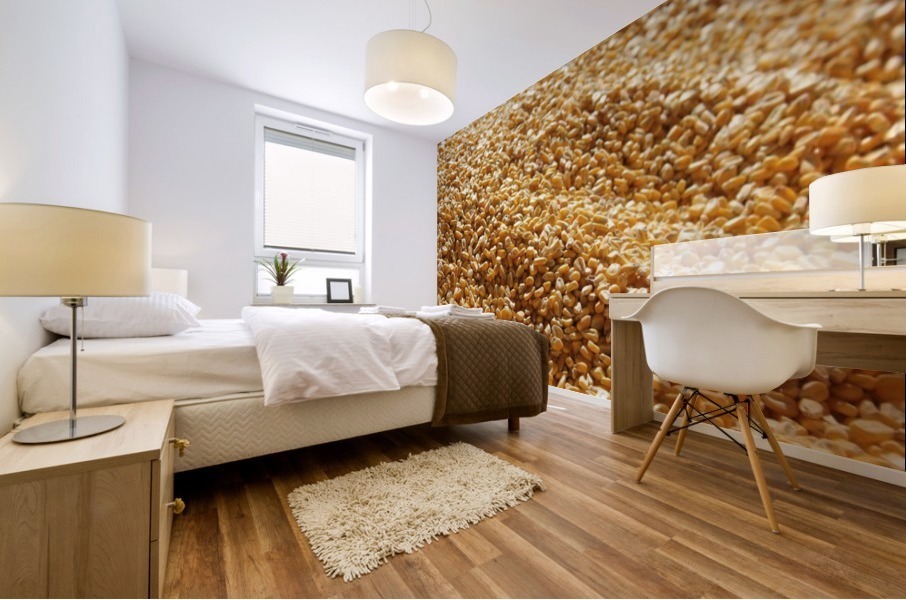 Dried Corn 03 Mural print