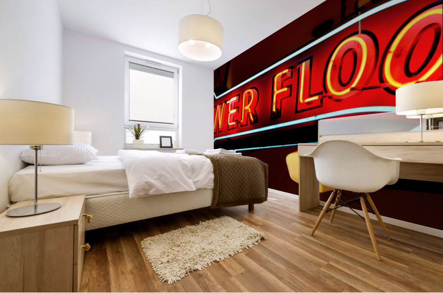 Lower Level Mural print