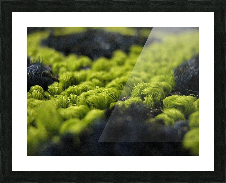 Carpet 01 Picture Frame print
