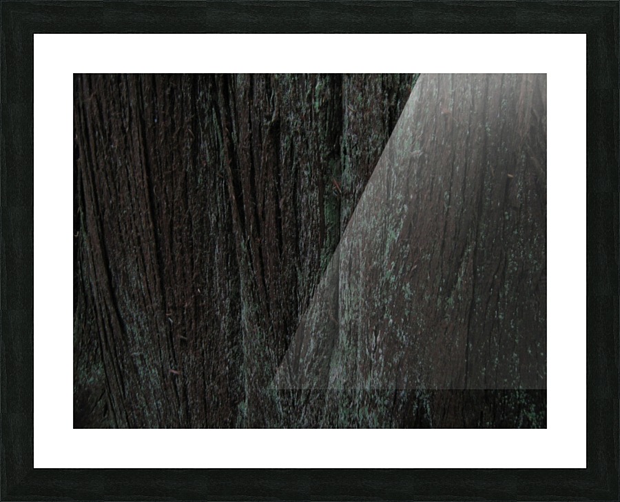 Bark With Lichen 03 Picture Frame print