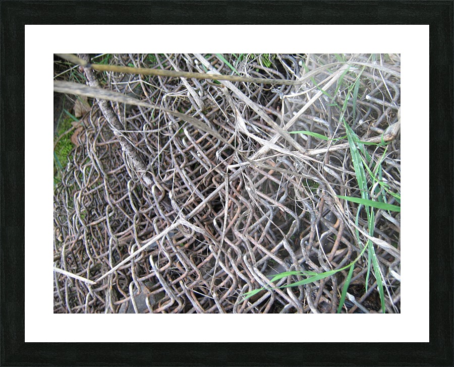 Rusted Chain Link 02 Picture Frame print