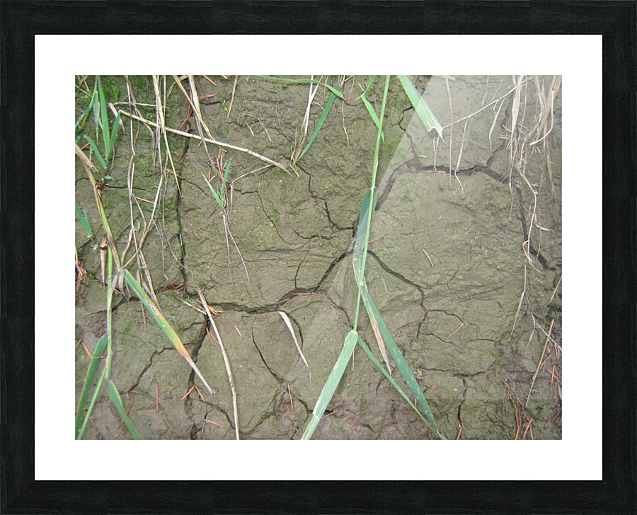 Cracked Mud Picture Frame print